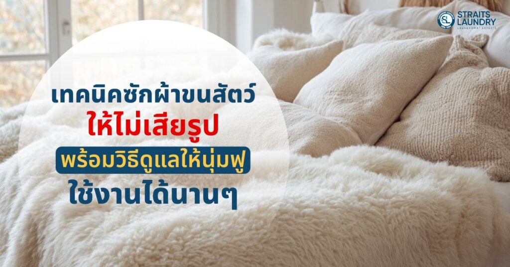 เทคนิคซักผ้าขนสัตว์ให้ไม่เสียรูป พร้อมวิธีดูแลให้นุ่มฟูใช้งานได้นานๆ